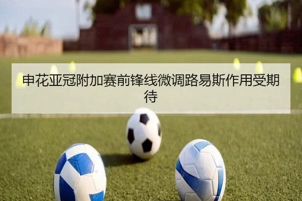 申花亚冠附加赛前锋线微调路易斯作用受期待